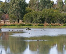 Cussen Park - Accommodation Ballina 0