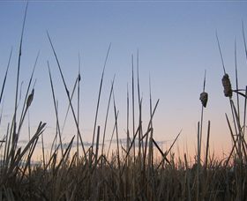 Cussen Park - Accommodation Ballina 2