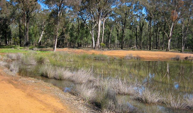 Beni NSW Accommodation Ballina
