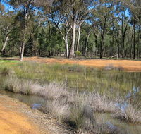 Beni State Conservation Area - Accommodation Ballina