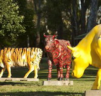 Greater Shepparton's Moooving Art - Accommodation Ballina