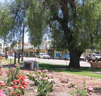 Hitching Rail Commemorative Telegraph Pole and Horse Watering Trough - Accommodation Ballina