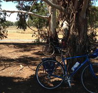 Murchison Rail Trail - Accommodation Ballina