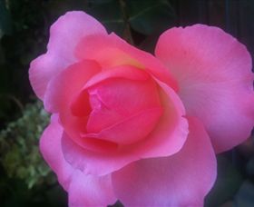 Abandon Stress Mobile Massage - Accommodation Ballina 2