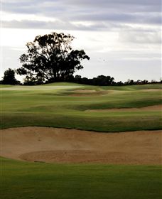 Black Bull Golf Club - Accommodation Ballina 0