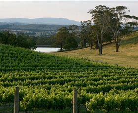 Granite Hills Winery - Accommodation Ballina 0