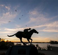 Black Caviar Statue - Accommodation Ballina