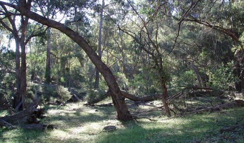 Mount Nangar Walking Track - Accommodation Ballina 1
