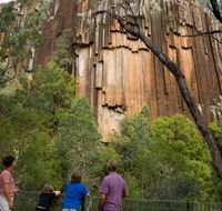 Sawn Rocks walking track