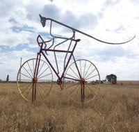 Animals on Bikes - Accommodation Ballina