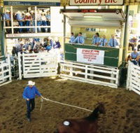 Gracemere Exhibition Complex - Accommodation Ballina