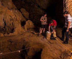 Capricorn Caves - Accommodation Ballina 2