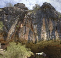 Borenore Karst Conservation Reserve - Accommodation Ballina