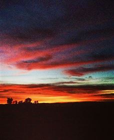 Big Springs NSW Accommodation Ballina