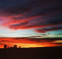 Springview Eco-Farm - Accommodation Ballina