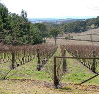 Habitat Vineyard - Accommodation Ballina