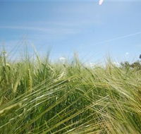 150 Degrees East Meridian - Accommodation Ballina