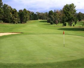 Commercial Golf Course - Accommodation Ballina 1