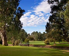 Commercial Golf Course - Accommodation Ballina 0