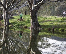 Albury - Murray River Precinct - Accommodation Ballina 3