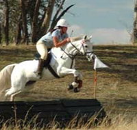 National Equestrian Centre - Kerrabee - Accommodation Ballina