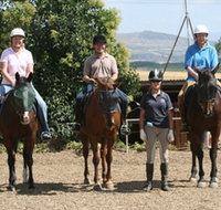 Forest Park Riding and Equitation School - Accommodation Ballina