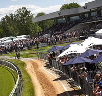Thoroughbred Park Canberra Racing Club - Horse Racing in the Nations Capital - Accommodation Ballina