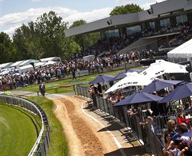 Thoroughbred Park Canberra Racing Club - Horse Racing In The Nations Capital - Accommodation Ballina 1