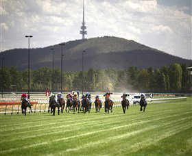 Thoroughbred Park Canberra Racing Club - Horse Racing In The Nations Capital - Accommodation Ballina 3
