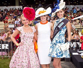 Thoroughbred Park Canberra Racing Club - Horse Racing In The Nations Capital - Accommodation Ballina 2