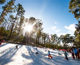 Corin Forest Mountain Resort - Accommodation Ballina 1