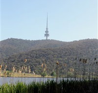 Black Mountain Peninsula - Accommodation Ballina