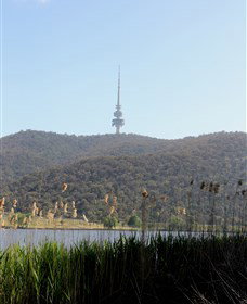 Black Mountain Peninsula - Accommodation Ballina 0