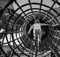 Pod Playground at the National Arboretum - Accommodation Ballina