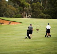 Federal Golf Club - Accommodation Ballina