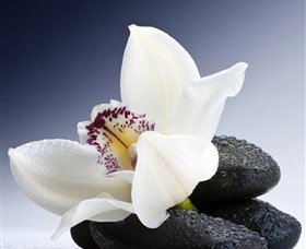 H2O Spa - Accommodation Ballina 1