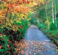 Mount Wilson and Mount Irvine - Accommodation Ballina