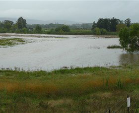 Jerrabomberra Wetlands - Accommodation Ballina 1