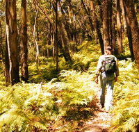 Federal Pass - Accommodation Ballina