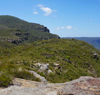 Mount Banks Road cycle route - Accommodation Ballina