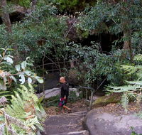 Leura Cascades Fern Bower - Accommodation Ballina