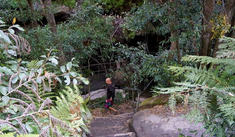 Leura Cascades Fern Bower - Accommodation Ballina 0