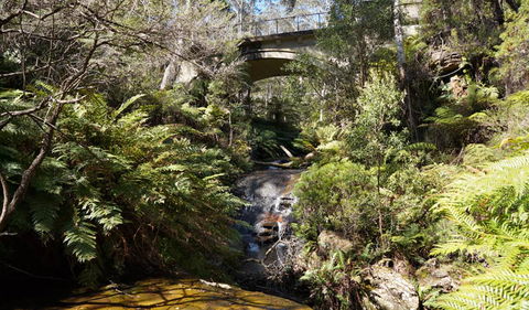 Leura Cascades Fern Bower - Accommodation Ballina 3