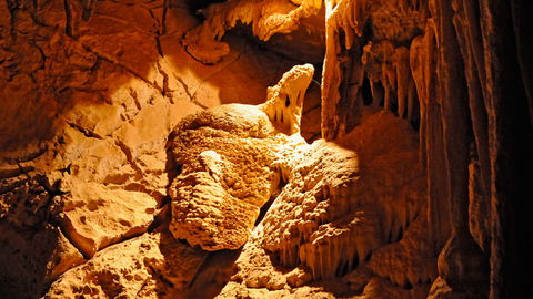 Wombeyan Karst Conservation Reserve - Accommodation Ballina 2