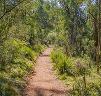 Mares Forest Creek walking track - Accommodation Ballina