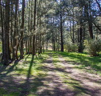 Wombeyan Waterfall walking track - Accommodation Ballina