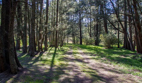 Wombeyan Waterfall Walking Track - Accommodation Ballina 0