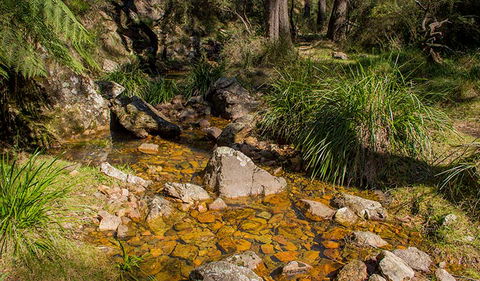 Wombeyan Waterfall Walking Track - Accommodation Ballina 1