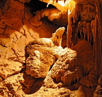 Fig Tree Cave - Accommodation Ballina