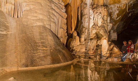 Junction Cave - Accommodation Ballina 0